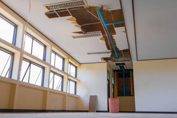 Best Sewage cleanup and water damage restoration  in Manson, IA