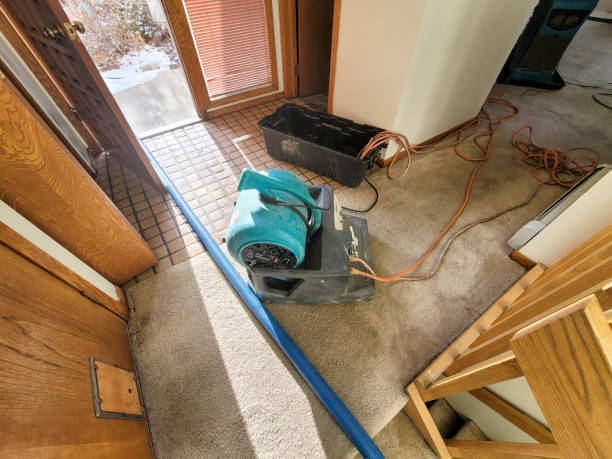  Manson, IA Water damage restoration Pros