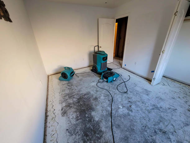 Best 24/7 water damage repair  in Manson, IA