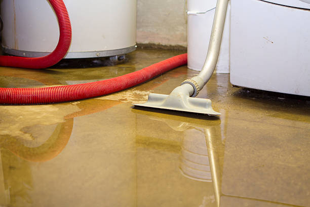 Best Local water damage restoration  in Manson, IA